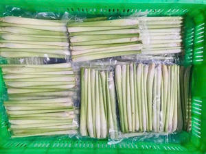 GRAN VENTA CALIDAD PREMIUM HIERBA DE LIMONA CONGELADA AL POR MAYOR SUMINISTRO A GRANEL EXPORTACIÓN LISTO PRODUCTO ORGÁNICO NATURAL OFERTA CALIENTE - Product Image 3