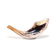 Corne de bélier 100% de haute qualité Shofar corne naturelle Shofar pour souffler Corne de bélier de qualité supérieure - Product Image 5