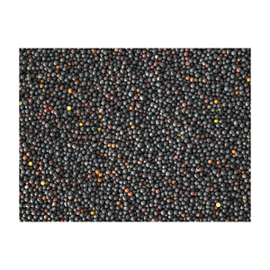 เรพซีดมีจำหน่ายในล็อตขายส่งสำหรับการค้าส่งออกและการกัด - Product Image 3