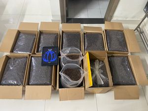 Penjual teratas 2024 biji pepaya kering kualitas tinggi dari pertanian LOTUS Biru VIETNAM