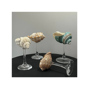 Conch Shell Champagne <b>Glass</b> Cup Martini <b>Glasses</b> Cute Gifts Home Decor - Product Image 3