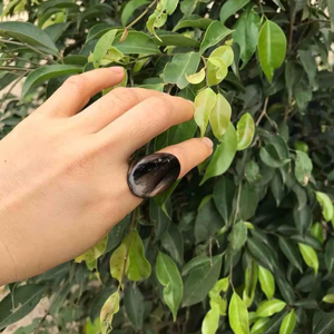 Bague en corne de buffle polie, bijoux pour fête, mariage, anniversaire, vente chaude, couleur corne naturelle - Product Image 1