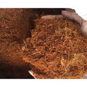 Cocopeat pour l'agriculture meilleure qualité tourbe de coco en gros prix d'usine tourbe de coco pour arbre - Product Image 2