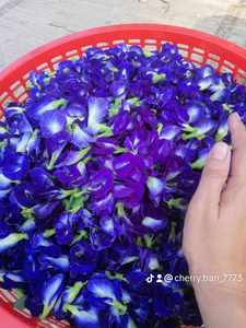 Flores de Clitoria Ternatea Secas de Vietnam Premium y Flores Comestibles Mixtas, Colorante Alimentario Natural Orgánico para Bebidas y Cocina - Product Image 4