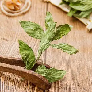El té de hierbas natural saludable más vendido Té de hoja de menta fresca con aroma único Promueve la digestión Té de menta