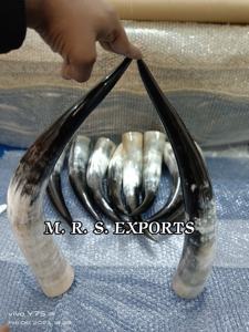 Haute qualité 100% authentique poli 20-24 pouces boeuf Viking corne à boire naturel fini corne de buffle brut bas prix MRS EXPORTS - Product Image 4