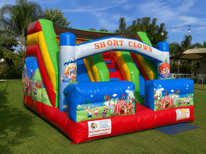 Parque Infantil Inflable Profesional 5x4x4 m – Tobogán Inflable de PVC – Uso Profesional en Interiores/Exteriores – Cumple con las Normas de la UE - Product Image 2