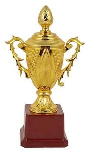 Premium <b>Metal</b> Cricket Trophy Cup Championship Sports Award for Event - Product Image 6