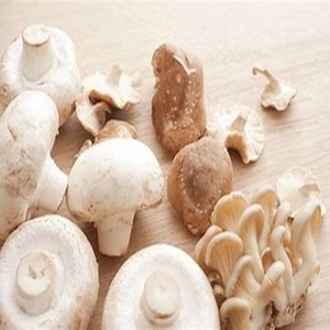 100% Champignon frais surgelé naturel à vendre à des prix modérés - Product Image 2