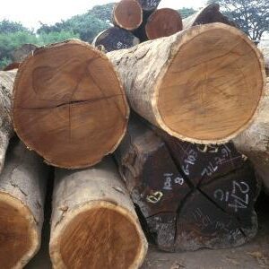 Keruing Logs pour les projets de construction et de meubles pour les poteaux de poutres Fabrication de meubles - Product Image 5