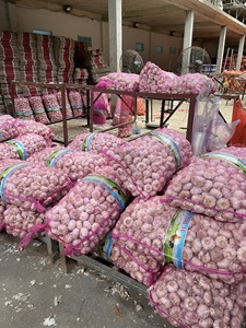 Ail frais du Vietnam, Ail frais entier de qualité supérieure, Ail blanc naturel pour l'exportation - Product Image 3
