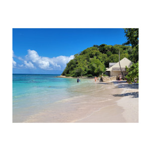 Bûche de hêtre en bois massif pour tous les types de travail du bois Grand prix sur les quantités en vrac pour divers projets de travail du bois - Product Image 5