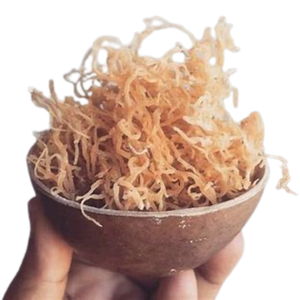 MOUSSE DE COUTURE NATURELLE CRUE SÉCHÉE MOUSSE DE MER IRLANDAISE DE HAUTE QUALITÉ DE VIETNAM EXPAD COMPANY - 100% BIOLOGIQUE - Product Image 5