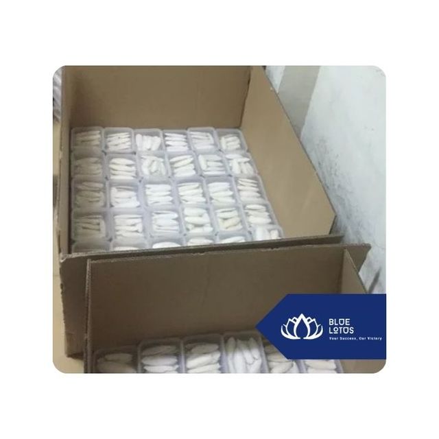 Hot Selling Durable Cuttlefish Bone Treat for Birds and Small Pets Beak Cleaning and Calcium Supplement from Vietnam