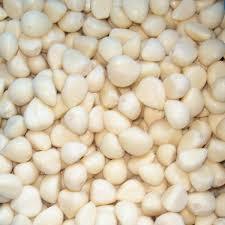 AJO CONGELADO/ETIQUETA LIMPIA/INGREDIENTE A BASE DE PLANTAS/SABOR NATURAL - Product Image 3