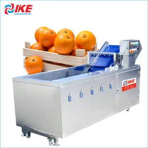 Fruit washing machine vegetable bubble washer small vegetable washing machine washing Oranges machine