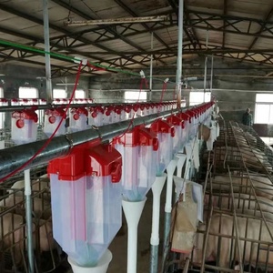 Granja de cerdos de alto retorno Diseño llave en mano Estructura simple Suministro de puesto de alimentación automática Rentable y nueva condición - Product Image 4