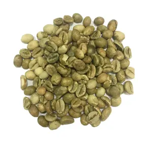 High Quality Robusta Green Coffee Beans - High Quality Robusta Coffee good price