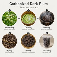 Prunes noires carbonisées en gros (Fructus Mume) pour soupes, ragoûts et cuisson – Approvisionnement en vrac