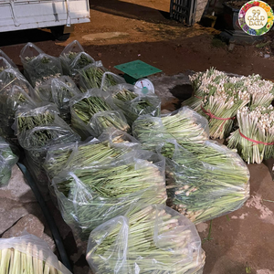 Hierba Limón Fresca Premium a Base de Hierbas, Originaria de Vietnam, para Mejorar el Sabor y Formulación de Ingredientes de Cocina - Product Image 3