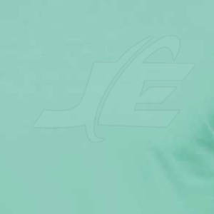 เสื้อยืดสำหรับผู้ชายขนาดผู้ใหญ่ออกแบบเองได้ - Product Image 6