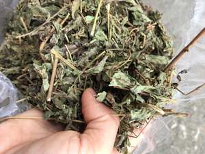 Hoja de Stevia para Mezclas Directas, Hojas Frescas y Limpias, Sabor Dulce y Equilibrado, Cadena de Suministro Confiable - Product Image 3