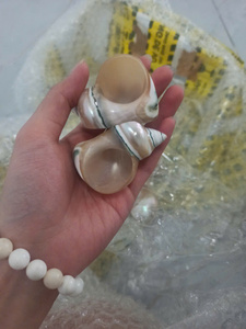 Anillo para Servilletas con Diseño de Caracol y Concha Marina, Estilo Rústico para Cocinas y Comedores de Casas de Campo - Product Image 5