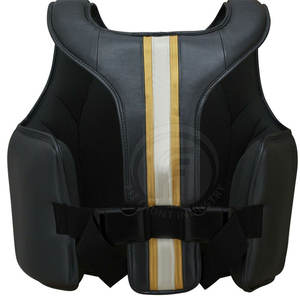 Nuevo estilo personalizado boxeo MMA Protector de pecho para entrenamiento pesado entrenamiento artes marciales Protector de pecho - Product Image 2