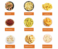 Pure Cantaloupe Instant Drink Powder for Refreshing Melon Flavored Beverages Smoothies Desserts Bakery Fillings