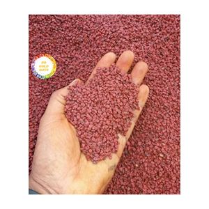 Graines d'annatto de qualité supérieure du Vietnam Bixa Orellana naturel utilisé pour la fourniture d'épices et d'ingrédients cosmétiques colorants alimentaires - Product Image 2