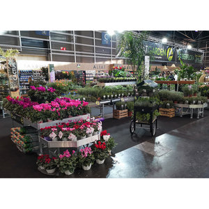 Cross Selling <b>Display</b> <b>Rack</b> Set - Product Image 3