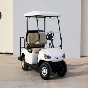 Carrito de Golf Eléctrico WLDT4 Blanco Extremadamente Limpio, Modelo 2021, 4 Plazas - Product Image 1