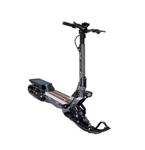 Nueva Moto de Nieve Eléctrica Coolrider de 48V, Compatible con Carretera, Velocidad Máxima 40 km/h, Pantalla LCD, Capacidad de Carga 120 kg, Marco de Acero, Resistente a la Escarcha - Product Image 2