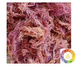 สาหร่ายทะเลแห้ง Eucheuma cottonii จากเวียดนามสาหร่ายไอริชสะอาดสำหรับผิวบรรจุเป็นกลุ่มพรีเมี่ยมสำหรับการส่งออก - Product Image 4