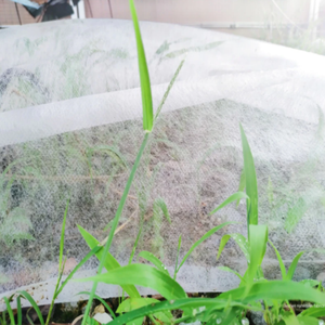 Fundas Económicas, Transpirables e Impermeables de Tela No Tejida con Memoria para Invernaderos, Protección Contra la Intemperie y Plagas - Product Image 6