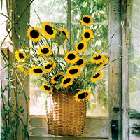 Bouquet de tournesols artificiels réalistes à longues tiges pour la décoration intérieure et extérieure, Thanksgiving, remise de diplôme - Imperméable et léger
