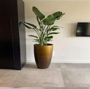 Macetas acanaladas de metal dorado, diseño texturizado, acabado antiguo, macetas versátiles, disponibles a precios al por mayor. - Product Image 3