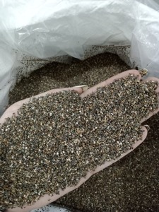 Semillas de albahaca 100% orgánicas y naturales de excelente calidad y mejor marca para exportación - Product Image 5