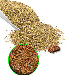 Trébol persa | Fuente de pasto sostenible | Cultivo de hierbas orgánicas - Product Image 1