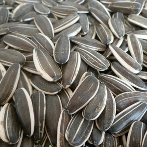 Graines de tournesol brutes à gros grains, produits neufs, vente en gros, sans déshydratant, sacs de grande capacité, en-cas à vendre - Product Image 6