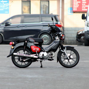 <span class=keywords><strong>Venta</strong></span> Caliente Motocicletas de 110cc de Gasolina, Estilo Retro con Chasis Curvo, Inyección Electrónica - Product Image 3