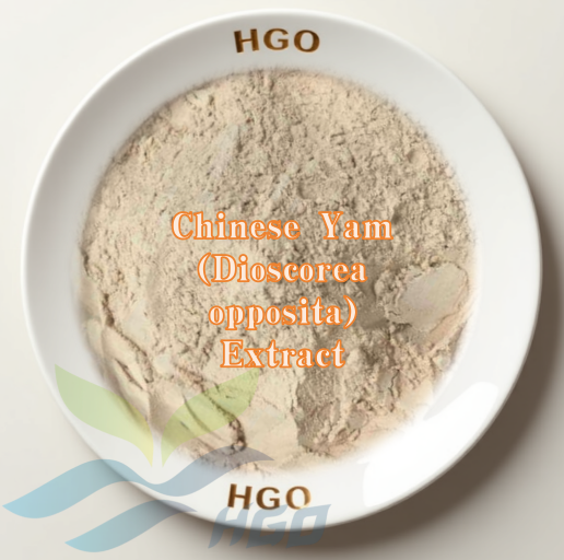 HGO Factory Direct Supply of Pure Natural Chinese Yam (Dioscorea opposita) Extract (Health food Grade) Specification 10:1