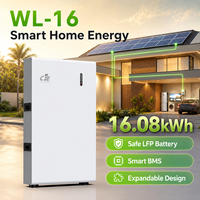 Batterie LiFePO4 divisée CFE-WL-16 16 kWh 51,2 V 314 Ah, plus de 6000 cycles, CAN, pour stockage d'énergie solaire hybride domestique à usage résidentiel