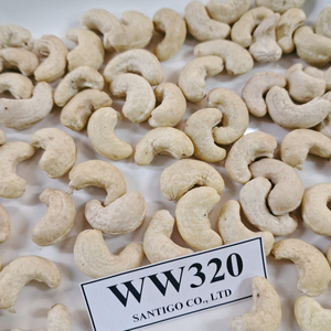 Premium Processing Cashew <b>Kernel</b> W320 Santigo Cashew <b>Nuts</b> ISO, HACCP Kaju Badam - Product Image 1