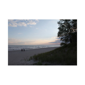 Grandes quantités de bûches de hêtre pour les projets d'amélioration de meubles solides Produit à prix élevé - Product Image 3