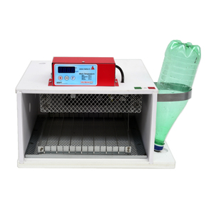 Incubatrice automatica Made in Italy di qualità Premium 25 uova di gallina PIOPIO 25 D - Product Image 2