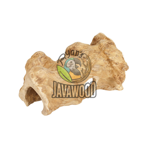 Maisons et bacs à écorce en bois massif de haute qualité Taille parfaite XL pour reptiles et petits animaux d'Indonésie - Product Image 4