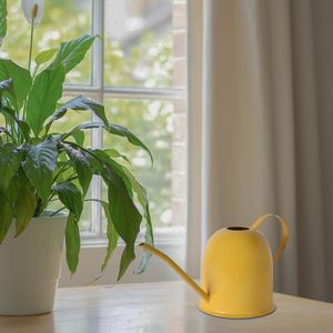 La hidratación hizo regaderas simples y elegantes para cualquier jardín La solución de riego Práctico elegante y eficaz - Product Image 2