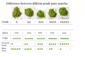 Chinahrains, самый высокий каменный порошок, порошковый церемониальный сорт, порошок зеленого чая маття, Великобритания, церемониальная машина, оптовая продажа, японский маття - Product Image 3