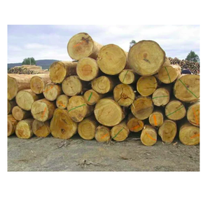 Madera de Okan asequible en venta, cantidad a granel disponible para exportadores, constructores y uso industrial - Product Image 6